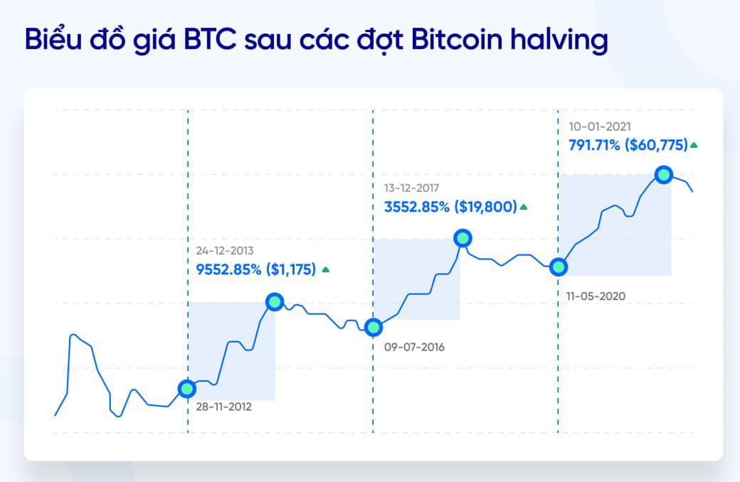 Biểu đồ giá của Bitcoin sau mỗi lần halving