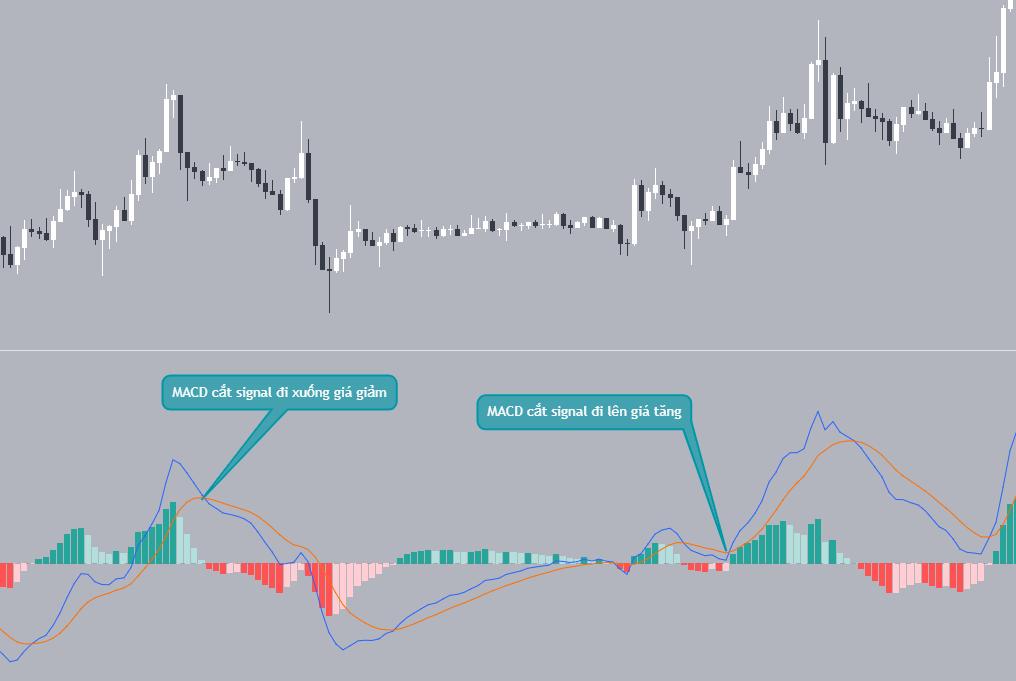 Đường MACD cắt signal