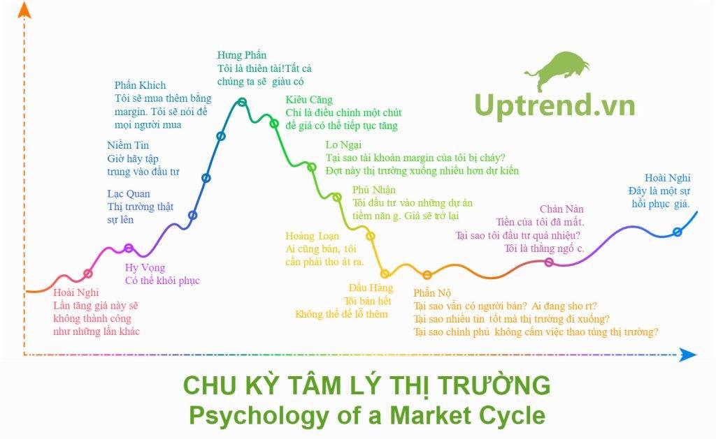 Chu kỳ tâm lý giao dịch cá nhân